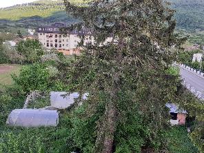 Jardín